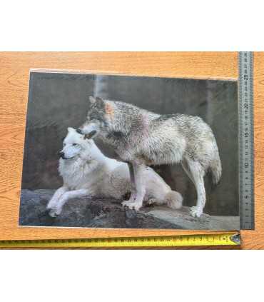 3D картинка "Волки"