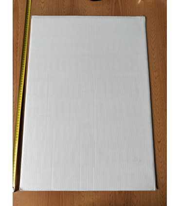 3D плакат "Тигр"