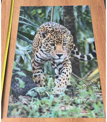 3D плакат "Леопард"