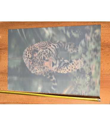 3D плакат "Леопард"